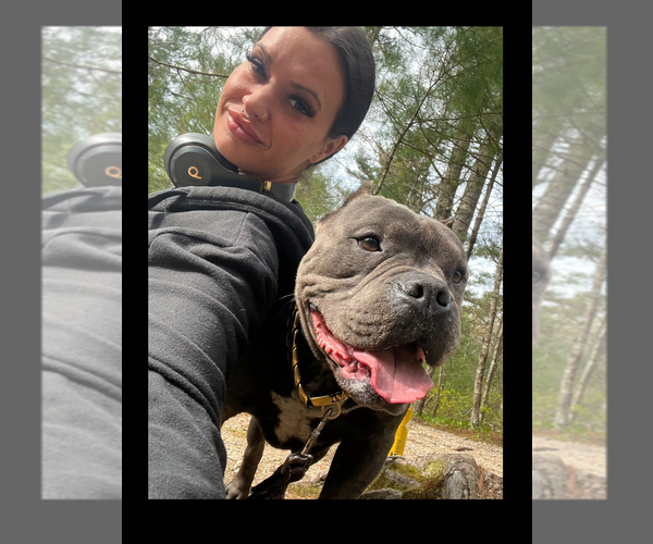 Medium Photo #9  Breeder Profile in NEW BEDFORD, MA, USA