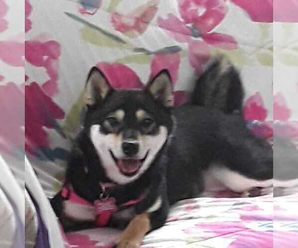 Medium Photo #1  Breeder Profile in MAXWELL, NM, USA