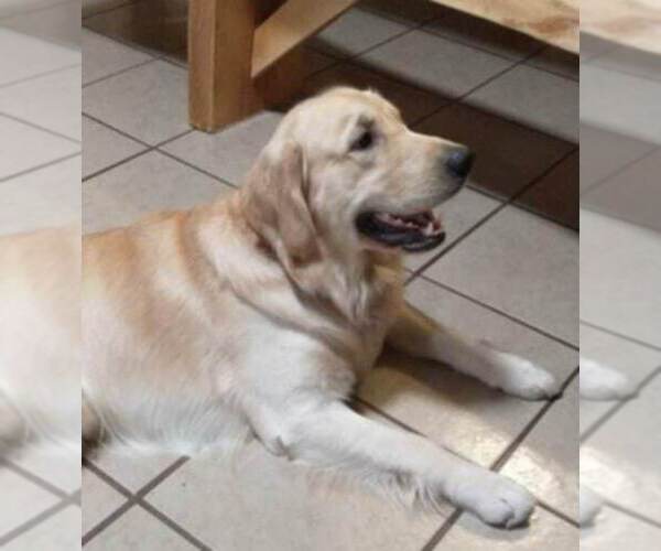 Medium Photo #1  Breeder Profile in HONEY GROVE, PA, USA