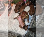 Small #4 Breeder Profile image