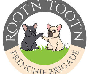 French Bulldog Dog Breeder in MARYVILLE,  USA