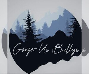 English Bulldog Dog Breeder near HOOD RIVER, OR, USA