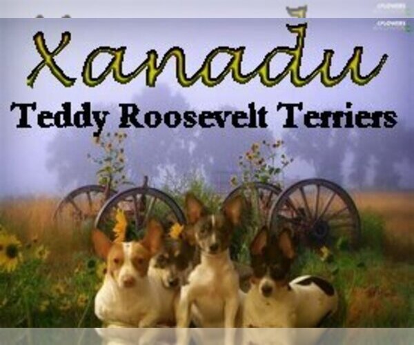 Medium Photo #1  Breeder Profile in MURRAY, KY, USA