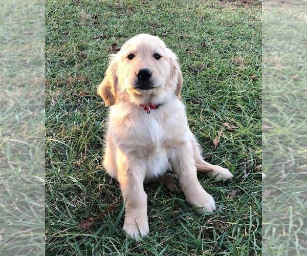 Medium Photo #47  Breeder Profile in FREDONIA, KS, USA
