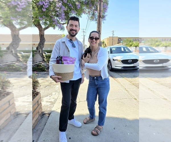 Medium Photo #10  Breeder Profile in HAWTHORNE, CA, USA