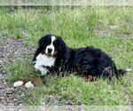 Small #13 Breeder Profile image