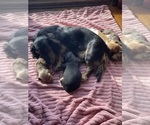 Small #9 Breeder Profile image