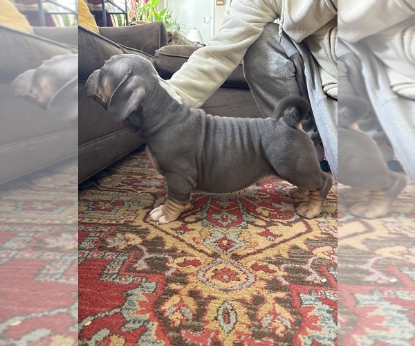 Medium Photo #2  Breeder Profile in WINDSOR, CT, USA