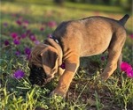 Small #23 Breeder Profile image