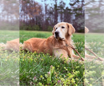 Small #2 Breeder Profile image