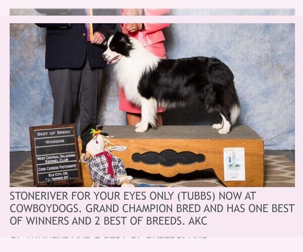 Medium Photo #6  Breeder Profile in MOSIER, OR, USA