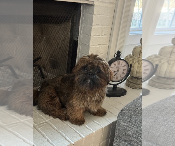 Medium Photo #7  Breeder Profile in COVINGTON, GA, USA