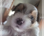 Small #3 Breeder Profile image