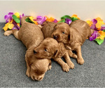 Small #14 Breeder Profile image