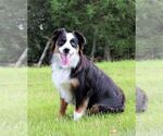 Small #7 Breeder Profile image
