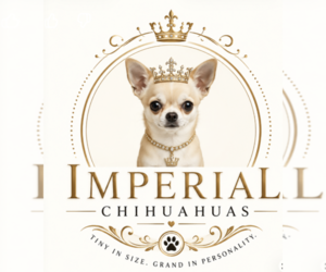 French Bulldog Dog Breeder near ATHENS, GA, USA