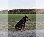 Small #1 Breeder Profile image