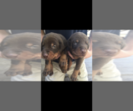 Small #28 Breeder Profile image