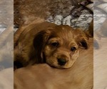 Small #3 Breeder Profile image