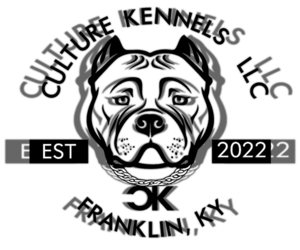 American Bully Dog Breeder near FRANKLIN, KY, USA