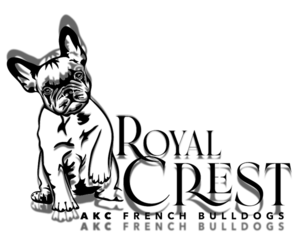 French Bulldog Dog Breeder near CANTON, GA, USA