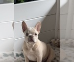 Small #3 Breeder Profile image