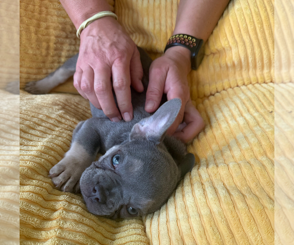 Medium Photo #5  Breeder Profile in BAKERSFIELD, CA, USA