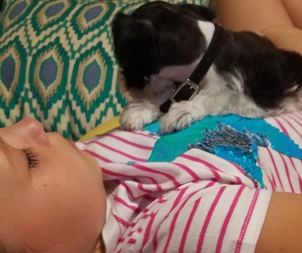 Medium Photo #13  Breeder Profile in FAYETTEVILLE, NC, USA