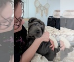 Small #2 Breeder Profile image
