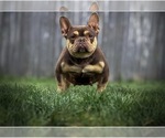 Small #29 Breeder Profile image