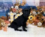 Small #2 Breeder Profile image