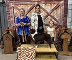 Small #37 Breeder Profile image