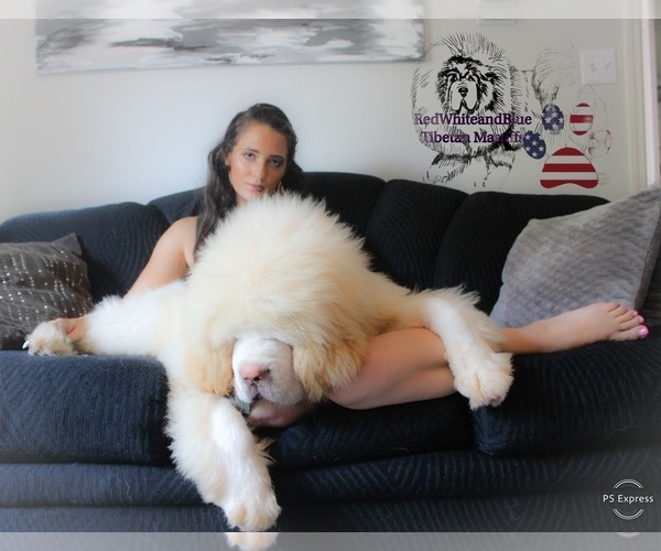 Medium Photo #7  Breeder Profile in BALDWIN, KS, USA