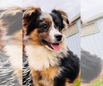 Small #5 Breeder Profile image
