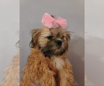 Small #1 Breeder Profile image