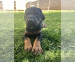 Small #10 Breeder Profile image