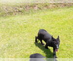 Small #3 Breeder Profile image