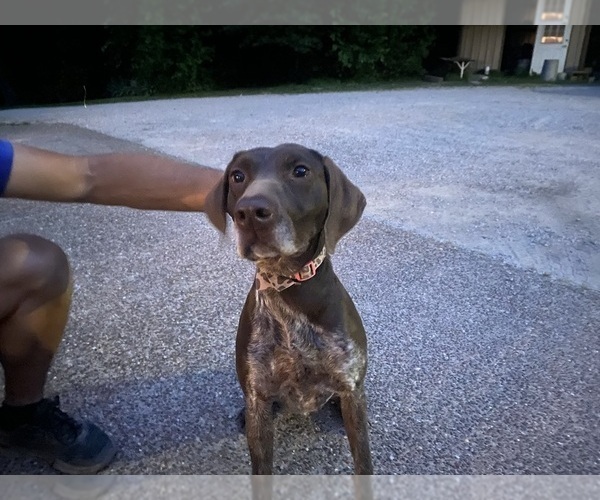 Medium Photo #4  Breeder Profile in BOONVILLE, IN, USA