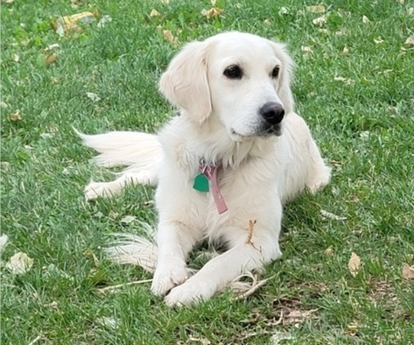Medium Photo #1  Breeder Profile in CORTEZ, CO, USA
