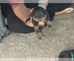 Small #3 Breeder Profile image