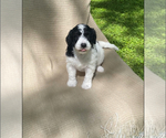 Small #11 Breeder Profile image