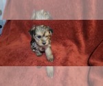 Small #310 Breeder Profile image