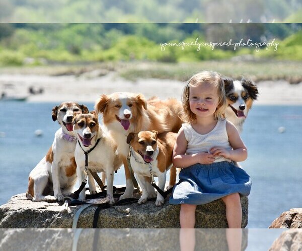 Medium Photo #7  Breeder Profile in SANDOWN, NH, USA