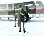 Small #6 Breeder Profile image