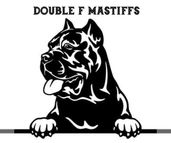 Medium Photo #1  Breeder Profile in OSKALOOSA, IA, USA