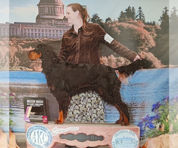 Medium Photo #5  Breeder Profile in WINLOCK, WA, USA