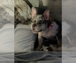 Small #16 Breeder Profile image