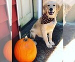 Small #1 Breeder Profile image