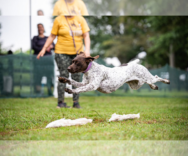 Medium Photo #4  Breeder Profile in LEXINGTON, SC, USA