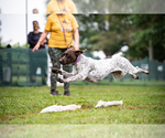 Small #3 Breeder Profile image